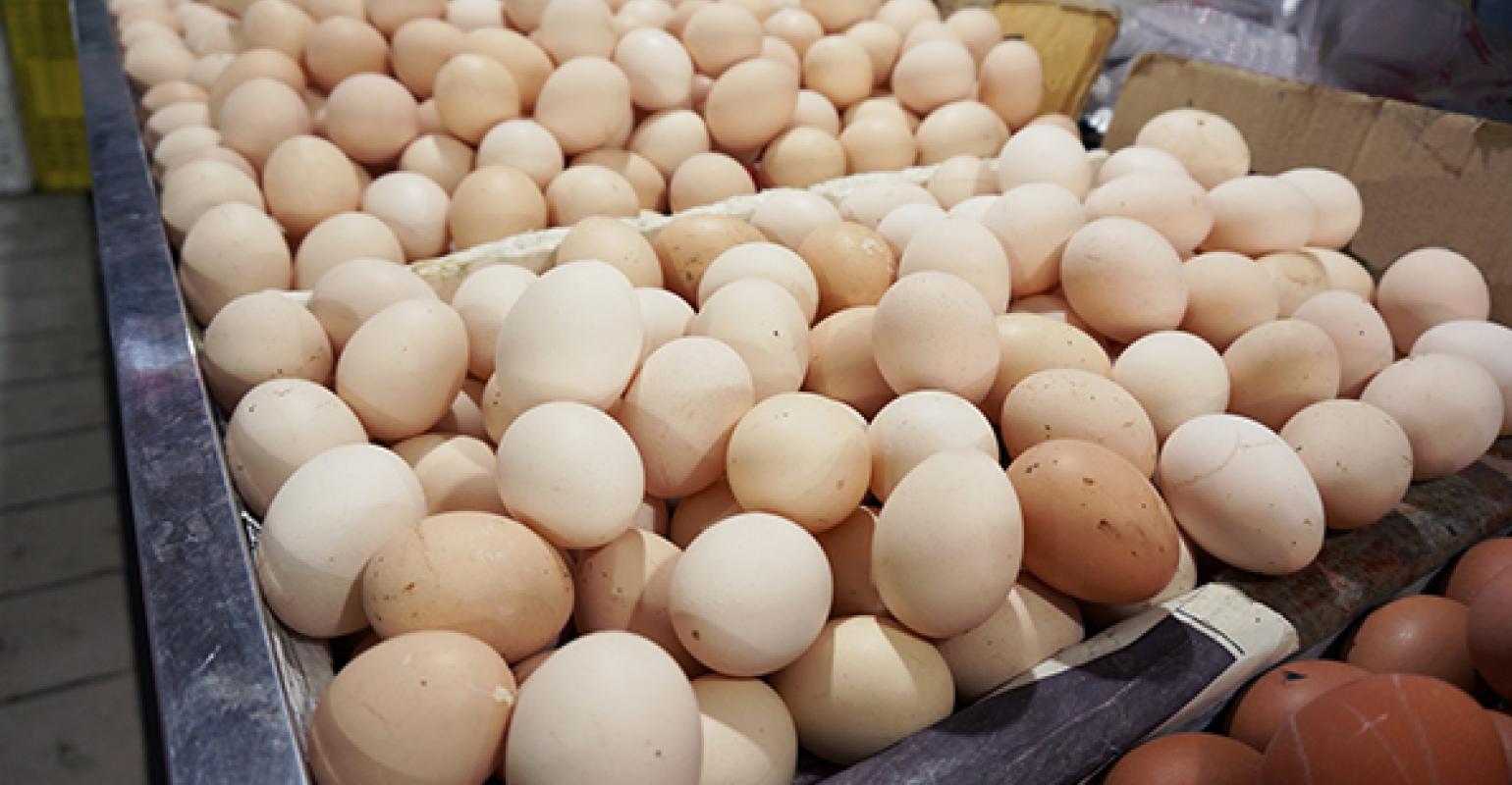 Avian flu limits egg supply, challenging restaurants Nation's