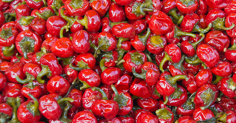 Calabrian-chiles2.png