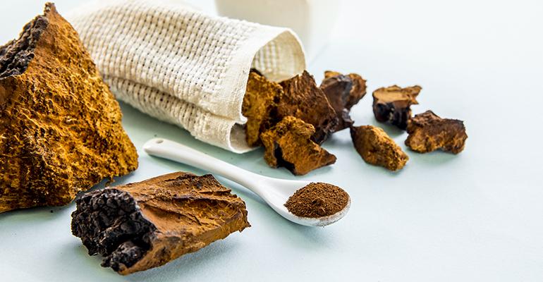 chaga-mushroom-flavor-of-the-week-sept-14.jpg