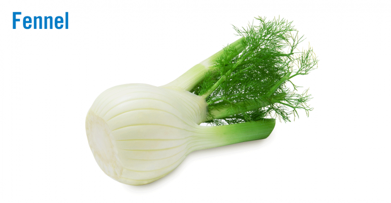 fennel