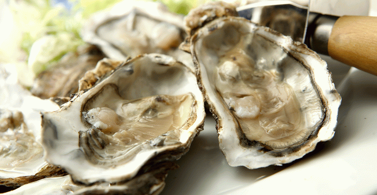 oysters.gif