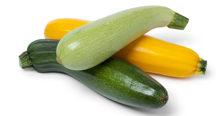 summer-squash.png