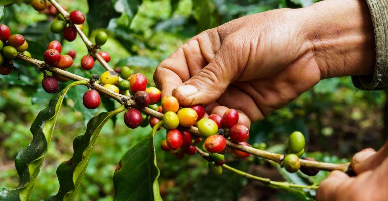 sustainability_through_coffee