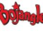 Bojangles' acquisition