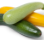 summer-squash.png