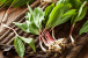 Ramps-featured-image.png