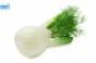 fennel