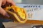 Taco Bell39s Waffle Taco with sausage