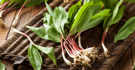 Ramps-featured-image.png