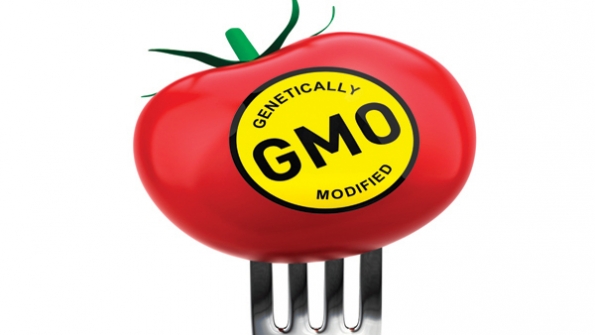 Communicating effectively with consumers on GMOs | Nation's Restaurant News